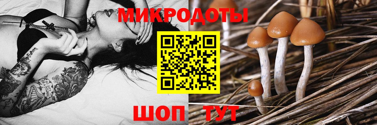 Северск  Галлюциногенные грибы мухоморы  Вход с VPN 